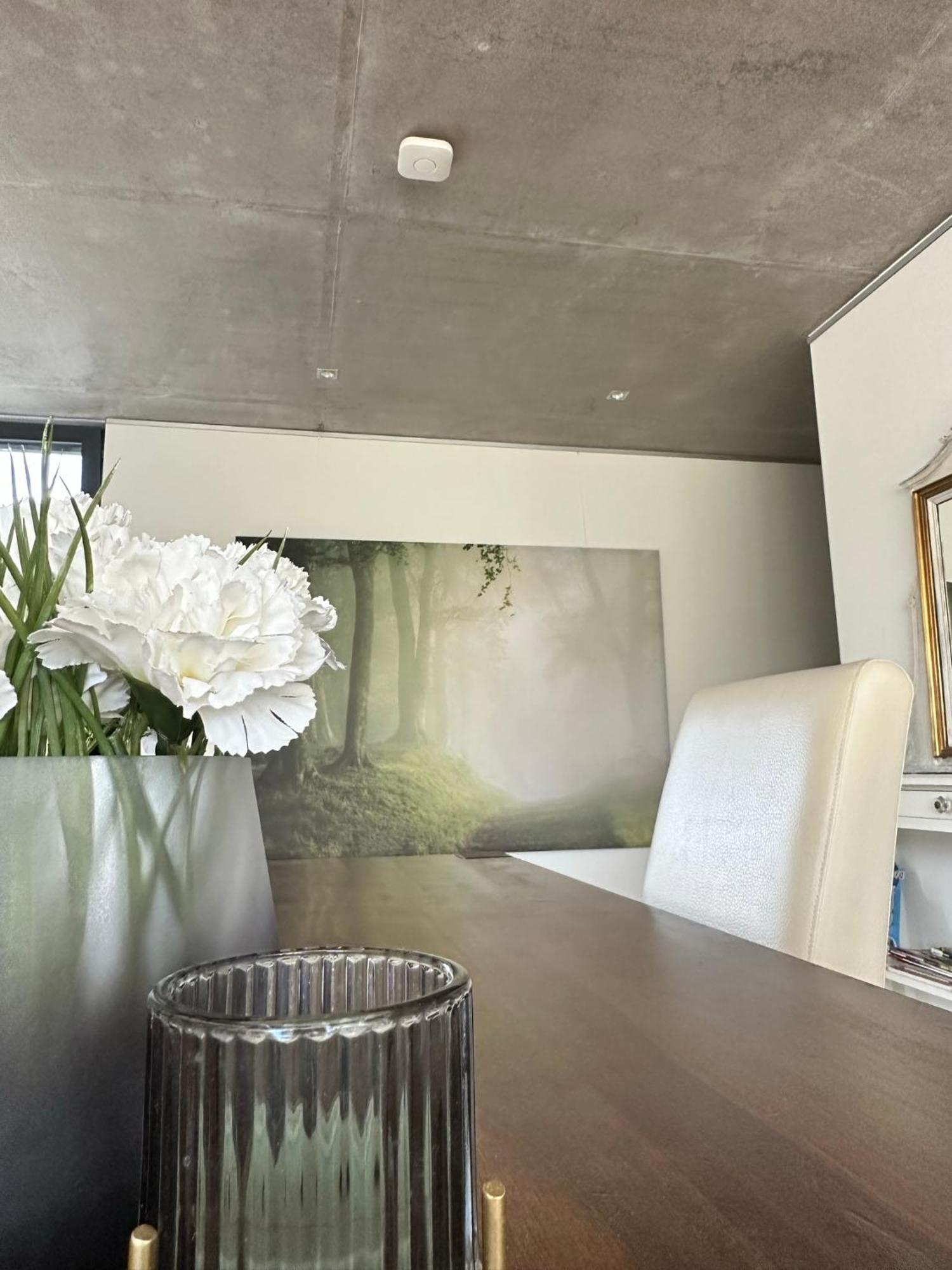 Vicas Ferienwohnung Kappel-Grafenhausen Exteriér fotografie